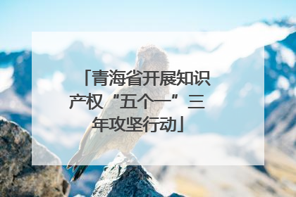 青海省开展知识产权“五个一”三年攻坚行动