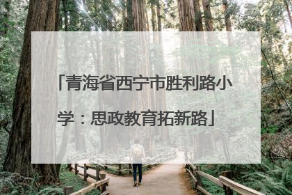 青海省西宁市胜利路小学：思政教育拓新路