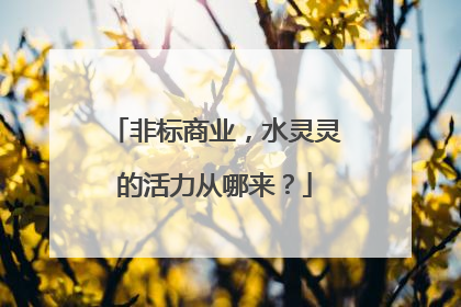 非标商业，水灵灵的活力从哪来？