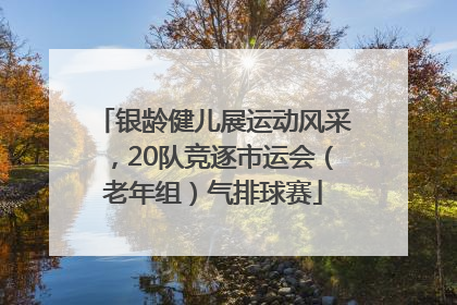 银龄健儿展运动风采，20队竞逐市运会（老年组）气排球赛