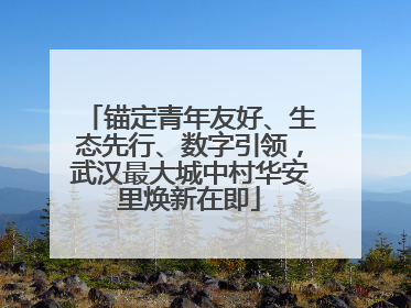 锚定青年友好、生态先行、数字引领，武汉最大城中村华安里焕新在即