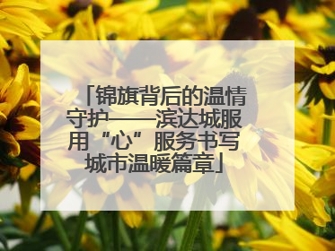 锦旗背后的温情守护——滨达城服用“心”服务书写城市温暖篇章