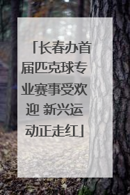 长春办首届匹克球专业赛事受欢迎 新兴运动正走红