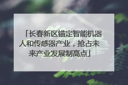 长春新区锚定智能机器人和传感器产业，抢占未来产业发展制高点