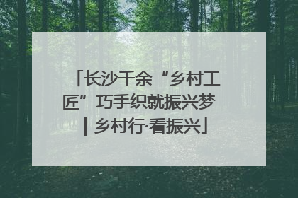 长沙千余“乡村工匠”巧手织就振兴梦｜乡村行·看振兴