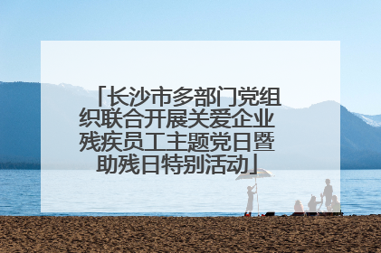 长沙市多部门党组织联合开展关爱企业残疾员工主题党日暨助残日特别活动