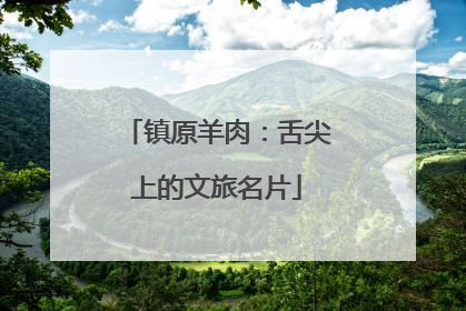 镇原羊肉：舌尖上的文旅名片