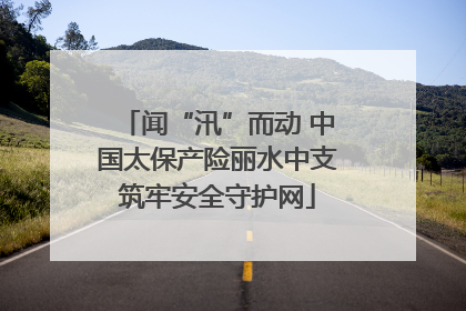闻“汛”而动 中国太保产险丽水中支筑牢安全守护网