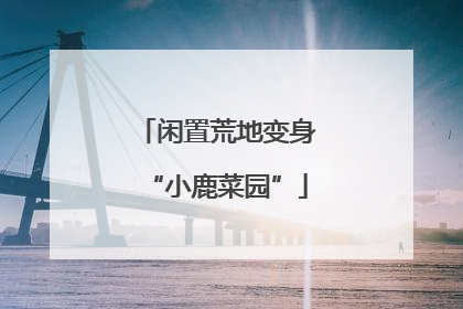 闲置荒地变身“小鹿菜园”