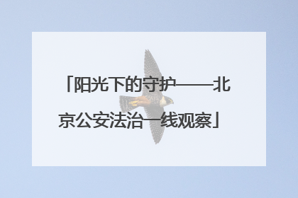 阳光下的守护——北京公安法治一线观察