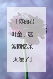 陈丽君叶童，这波回忆杀太暖了