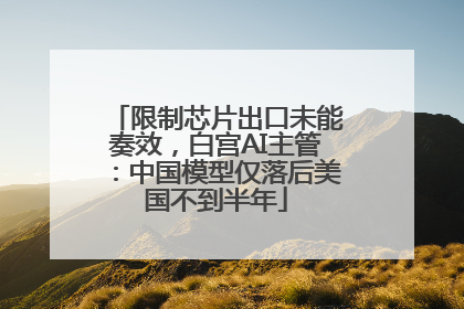 限制芯片出口未能奏效，白宫AI主管：中国模型仅落后美国不到半年