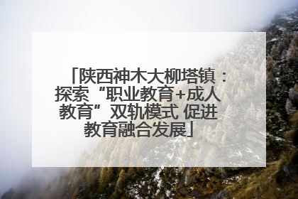 陕西神木大柳塔镇：探索“职业教育+成人教育”双轨模式 促进教育融合发展