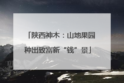 陕西神木：山地果园种出致富新“钱”景