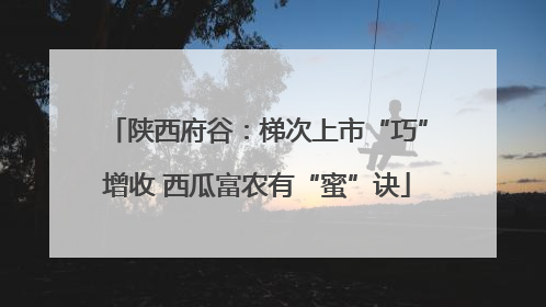陕西府谷：梯次上市“巧”增收 西瓜富农有“蜜”诀