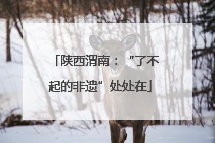 陕西渭南：“了不起的非遗”处处在