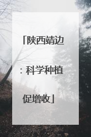 陕西靖边：科学种植促增收