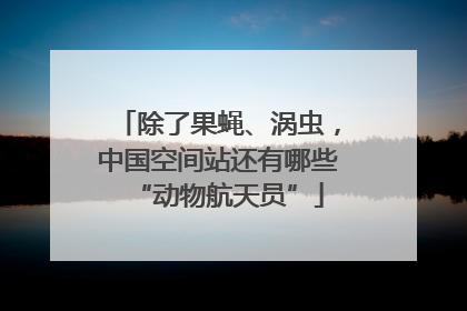 除了果蝇、涡虫，中国空间站还有哪些“动物航天员”