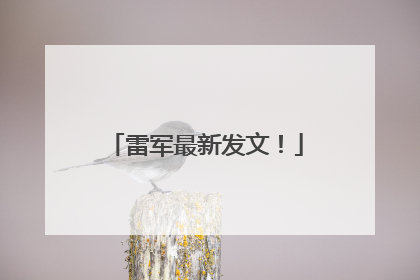 雷军最新发文！