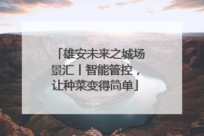 雄安未来之城场景汇丨智能管控，让种菜变得简单