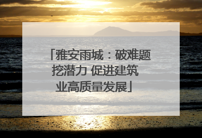 雅安雨城：破难题 挖潜力 促进建筑业高质量发展