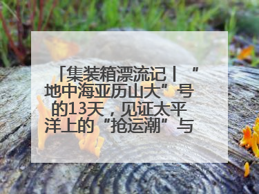 集装箱漂流记丨“地中海亚历山大”号的13天，见证太平洋上的“抢运潮”与“过剩潮”