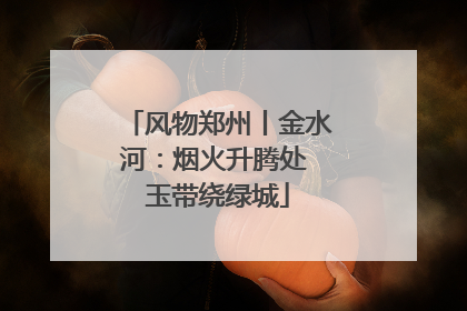 风物郑州丨金水河：烟火升腾处 玉带绕绿城