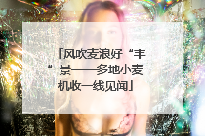 风吹麦浪好“丰”景——多地小麦机收一线见闻