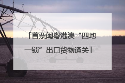 首票闽粤港澳“四地一锁”出口货物通关