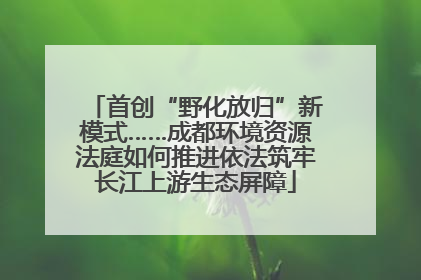 首创“野化放归”新模式……成都环境资源法庭如何推进依法筑牢长江上游生态屏障
