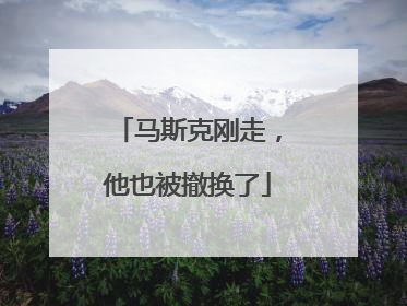 马斯克刚走，他也被撤换了