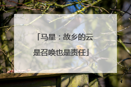 马星：故乡的云是召唤也是责任