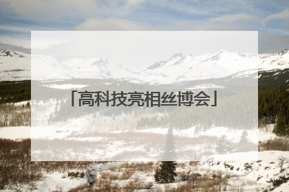 高科技亮相丝博会