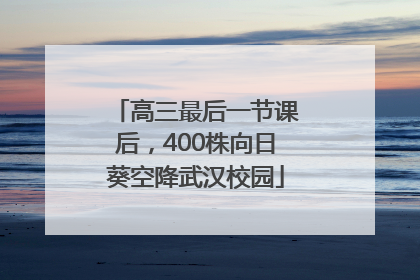 高三最后一节课后，400株向日葵空降武汉校园
