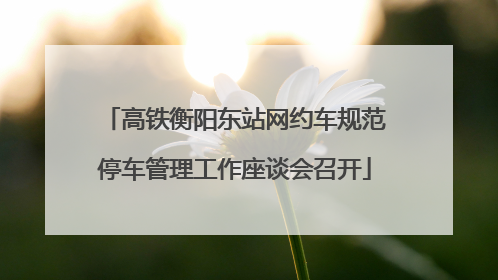 高铁衡阳东站网约车规范停车管理工作座谈会召开
