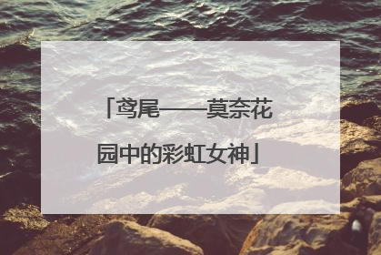 鸢尾——莫奈花园中的彩虹女神