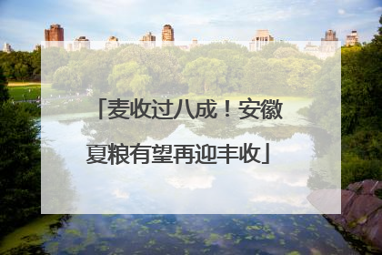 麦收过八成！安徽夏粮有望再迎丰收