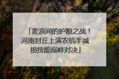 麦浪间的护粮之战！河南封丘上演农机手减损技能巅峰对决