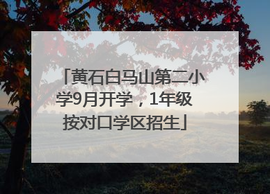 黄石白马山第二小学9月开学，1年级按对口学区招生