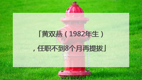 黄双燕（1982年生），任职不到8个月再提拔