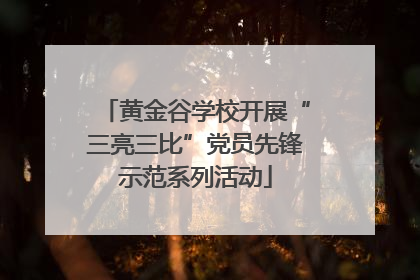 黄金谷学校开展“三亮三比”党员先锋示范系列活动