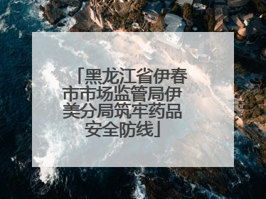 黑龙江省伊春市市场监管局伊美分局筑牢药品安全防线