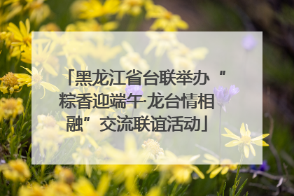 黑龙江省台联举办“粽香迎端午·龙台情相融”交流联谊活动