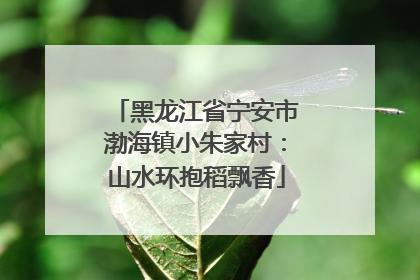 黑龙江省宁安市渤海镇小朱家村：山水环抱稻飘香