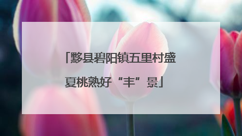 黟县碧阳镇五里村盛夏桃熟好“丰”景