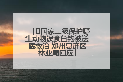 ﻿国家二级保护野生动物误食鱼钩被送医救治 郑州惠济区林业局回应