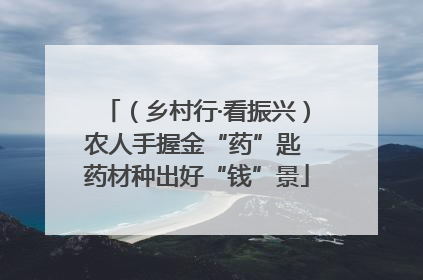 （乡村行·看振兴）农人手握金“药”匙 药材种出好“钱”景