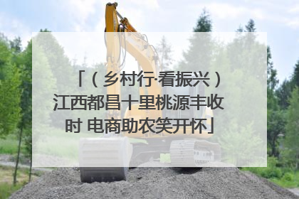 （乡村行·看振兴）江西都昌十里桃源丰收时 电商助农笑开怀