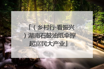 （乡村行·看振兴）湖南石鼓油纸伞撑起富民大产业