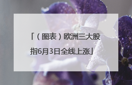 （图表）欧洲三大股指6月3日全线上涨